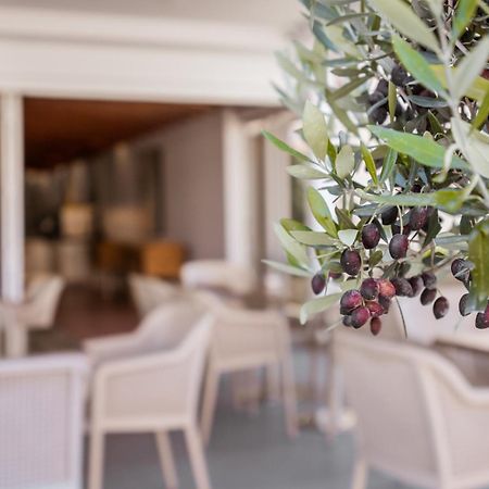 Paul Marie Hotel Apartments Ayia Napa Luaran gambar
