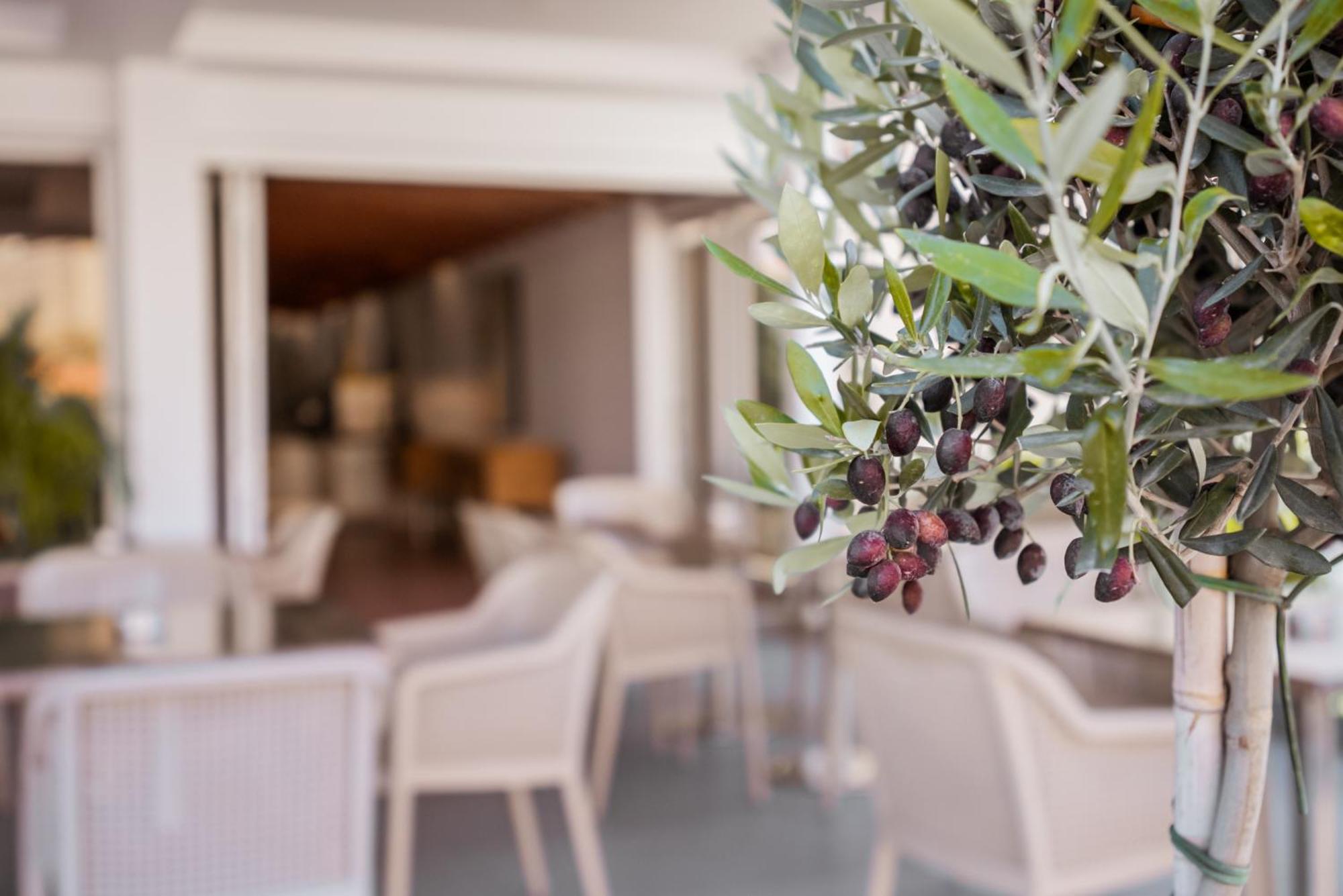 Paul Marie Hotel Apartments Ayia Napa Luaran gambar
